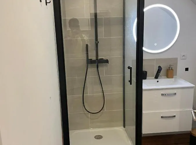 Le Vasco T Avec Salle De Sport Appartement